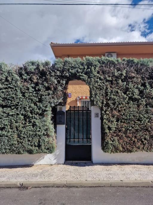 Primera Planta Completa, El Álamo Extérieur photo