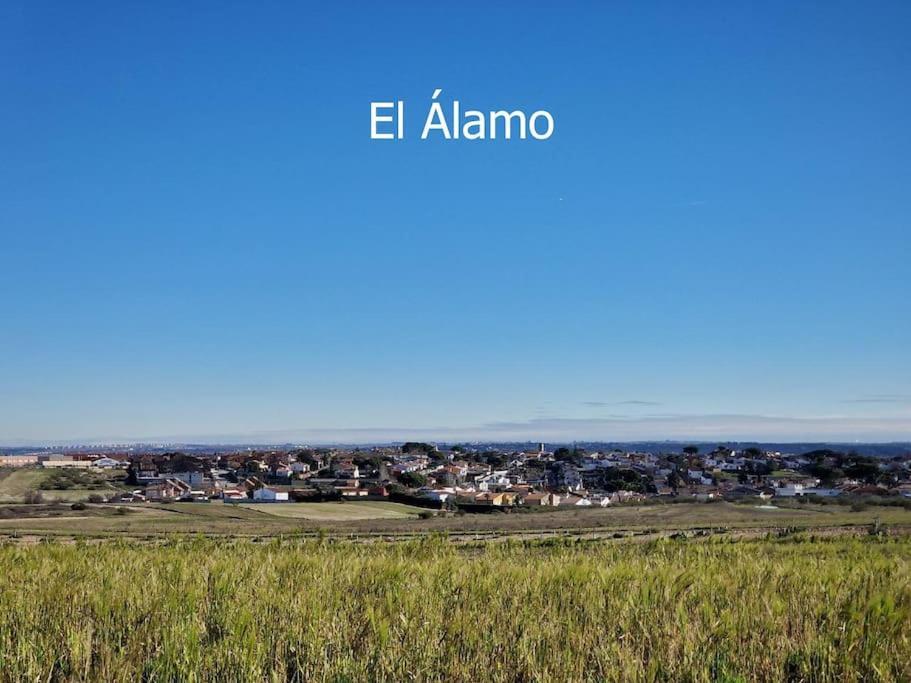 Primera Planta Completa, El Álamo Extérieur photo