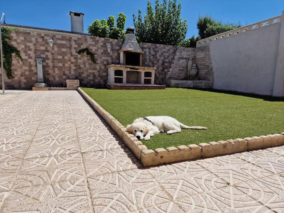 Primera Planta Completa, El Álamo Extérieur photo